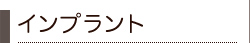 �C���v�����g