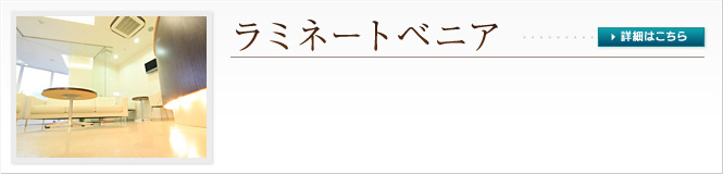 ラミネートベニア